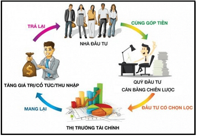 Cách hoạt động của thị trường tài chính 