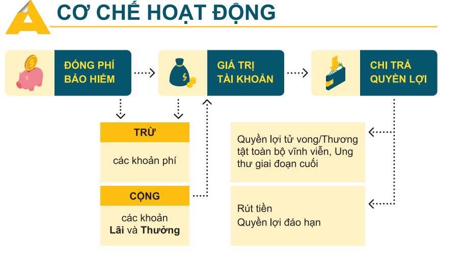 Cách thức hoạt động của bảo hiểm 