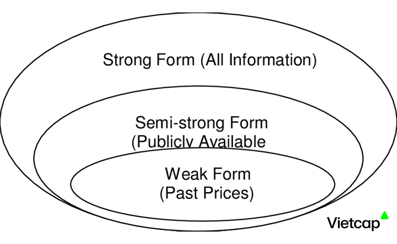 Hiệu quả thị trường là gì và những yếu tố ảnh hưởng đến đầu tư thông minh
