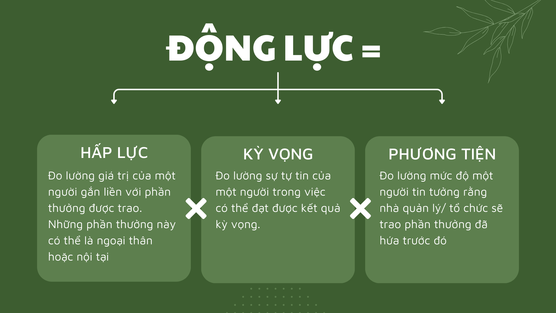 Kết luận về lý thuyết kỳ vọng hợp lý 