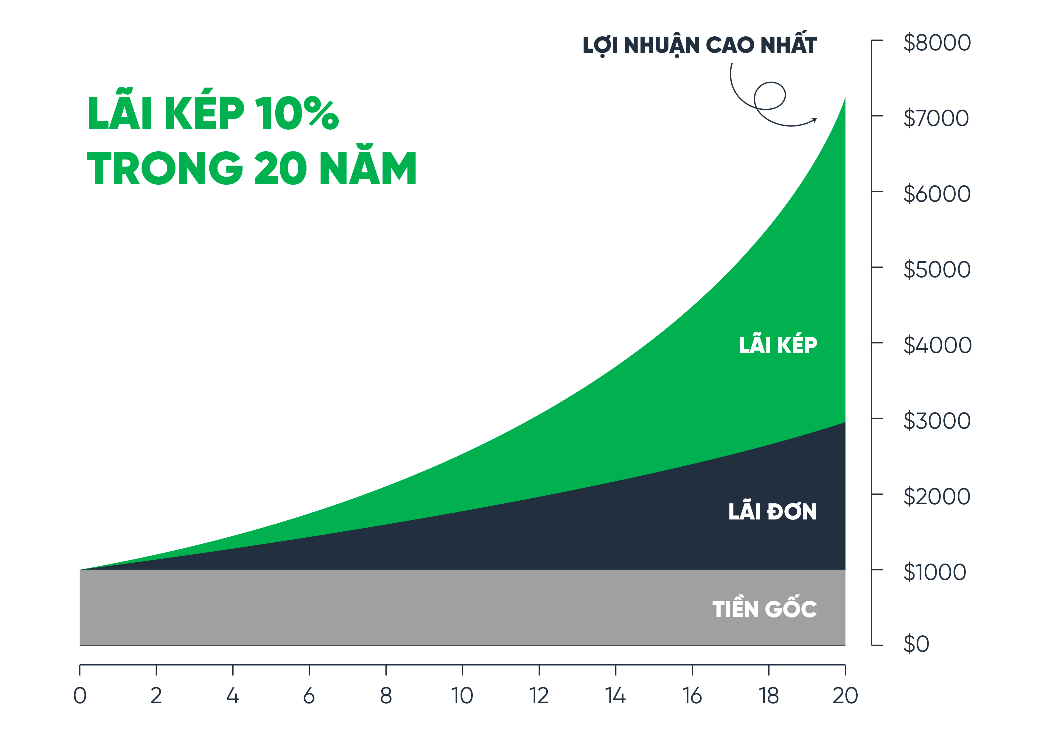 Lãi kép trong đầu tư: Thành công nhờ tích lũy  