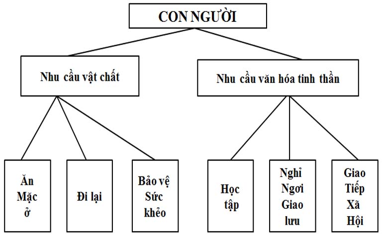 Phân loại chi tiêu trong Tỷ lệ chi tiêu hộ gia đình  