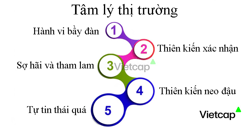 Phân tích tâm lý thị trường và ảnh hưởng đến hành vi nhà đầu tư hiện nay