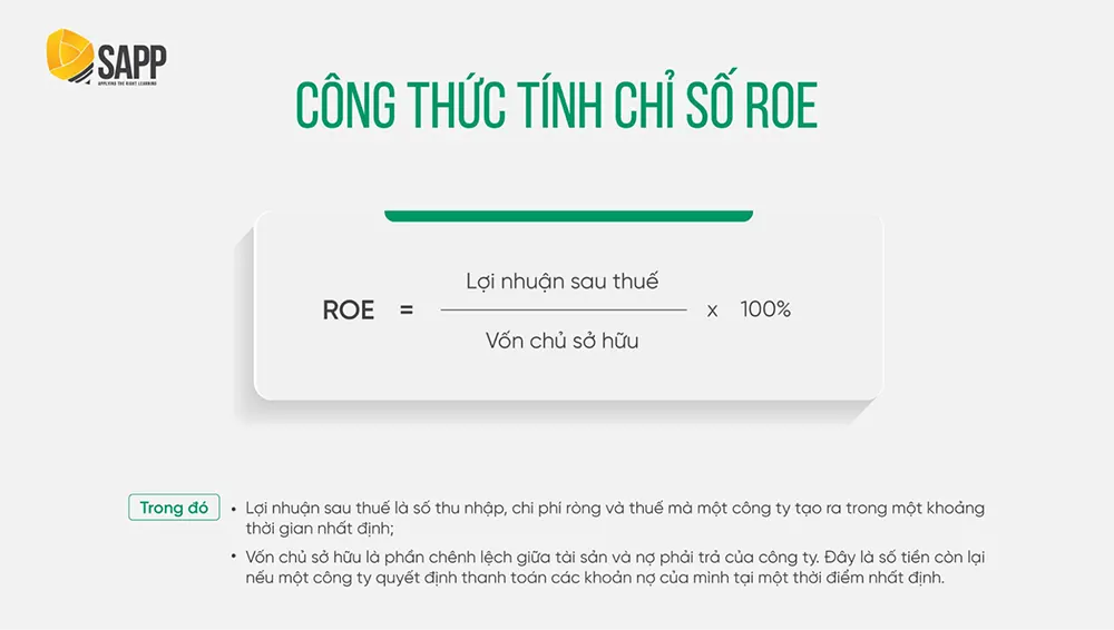 ROE là gì và tầm quan trọng của nó trong đánh giá hiệu quả hoạt động kinh doanh? 