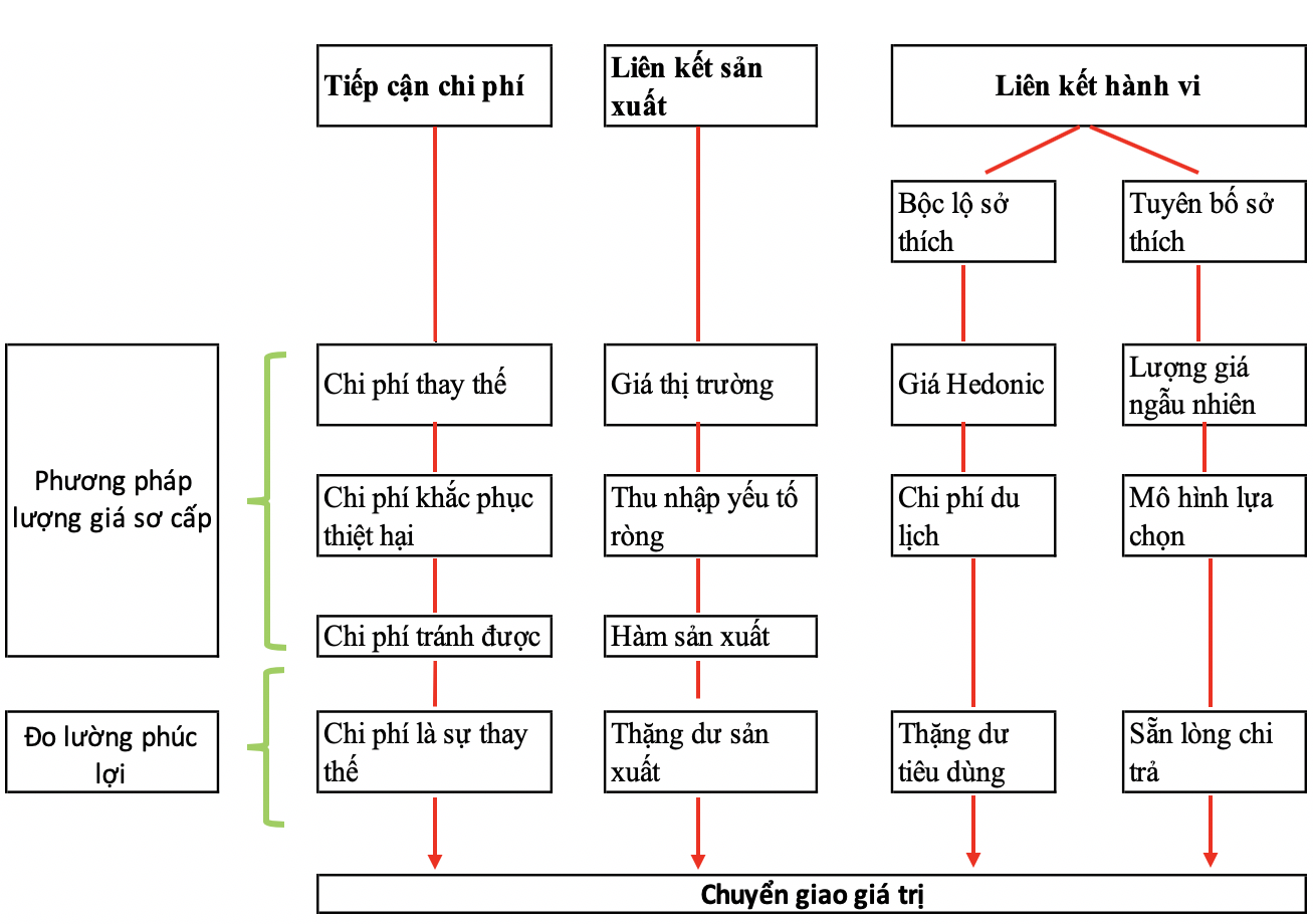 Tổng kết: Lợi ích và thách thức của Hedonic Adaptation  