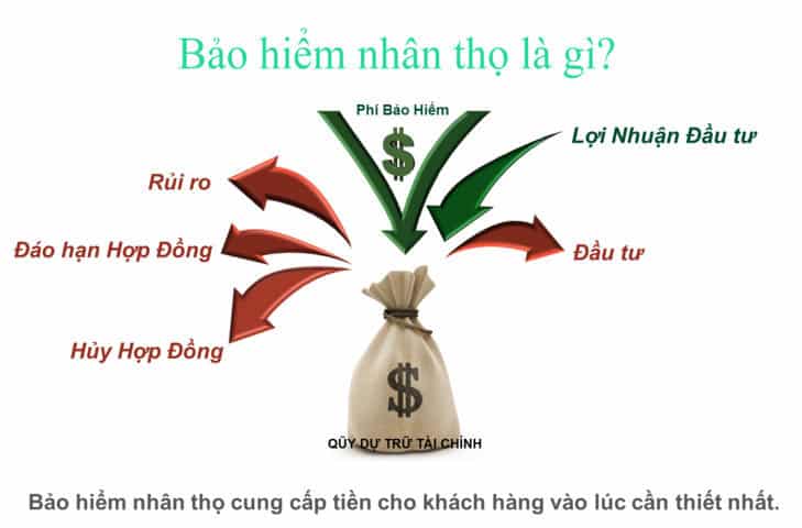 Tổng quan về bảo hiểm nhân thọ