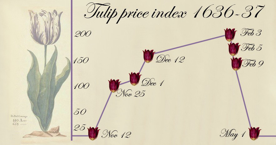 Tổng quan về Bong bóng Hoa Tulip Hà Lan và Tulip Mania 